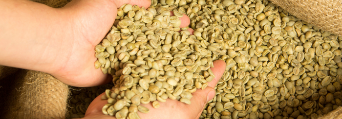 Black idol - café qui fait maigrir